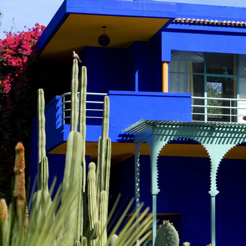 The Majorelle Garden, a center of serenity in Marrakesh