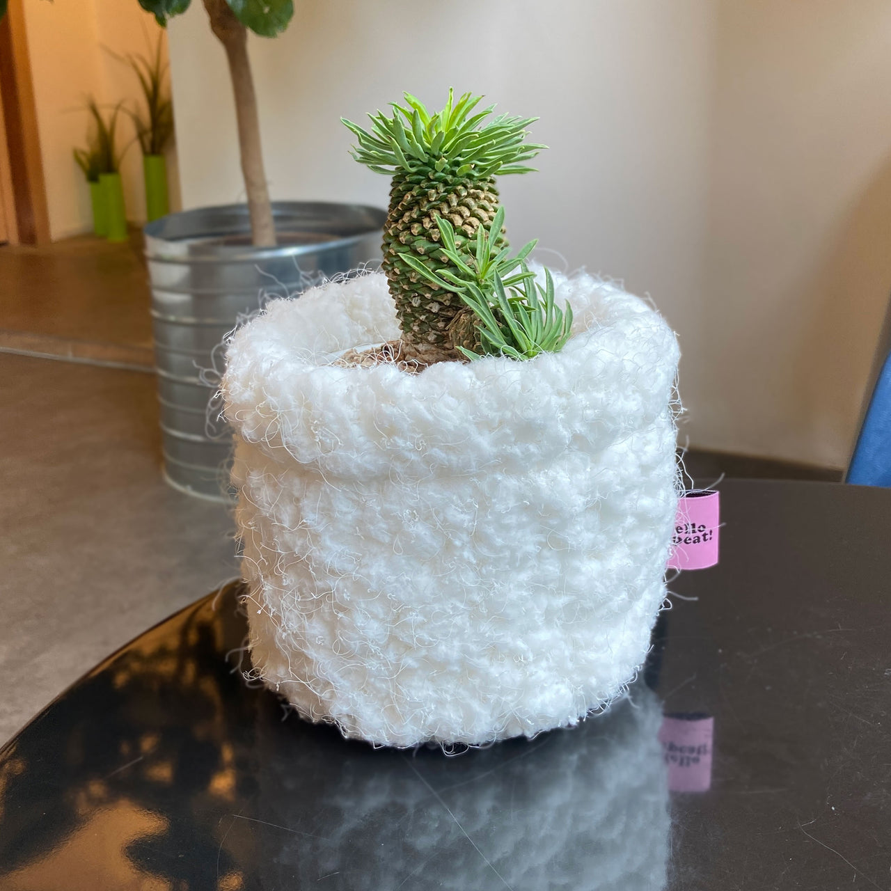 [REPEAT] Cloud Plant Basket