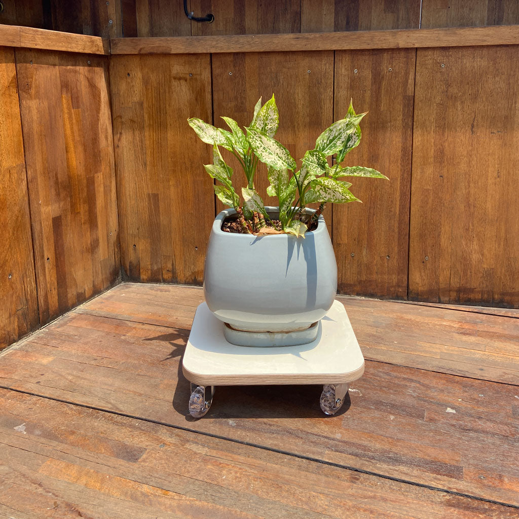 [HOUSON] Flower Planter Trolley